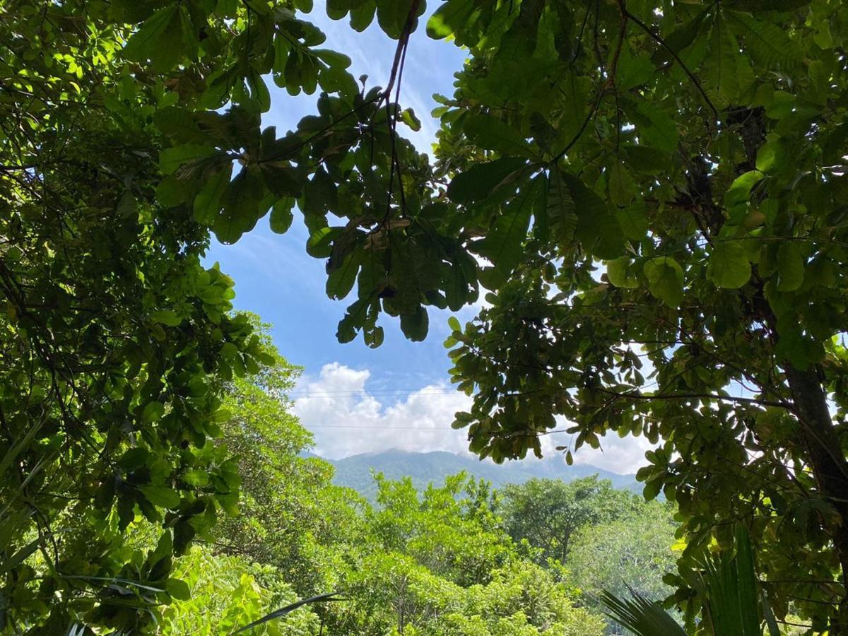 Las Mananitas De La Sierra El Zaino Exterior photo