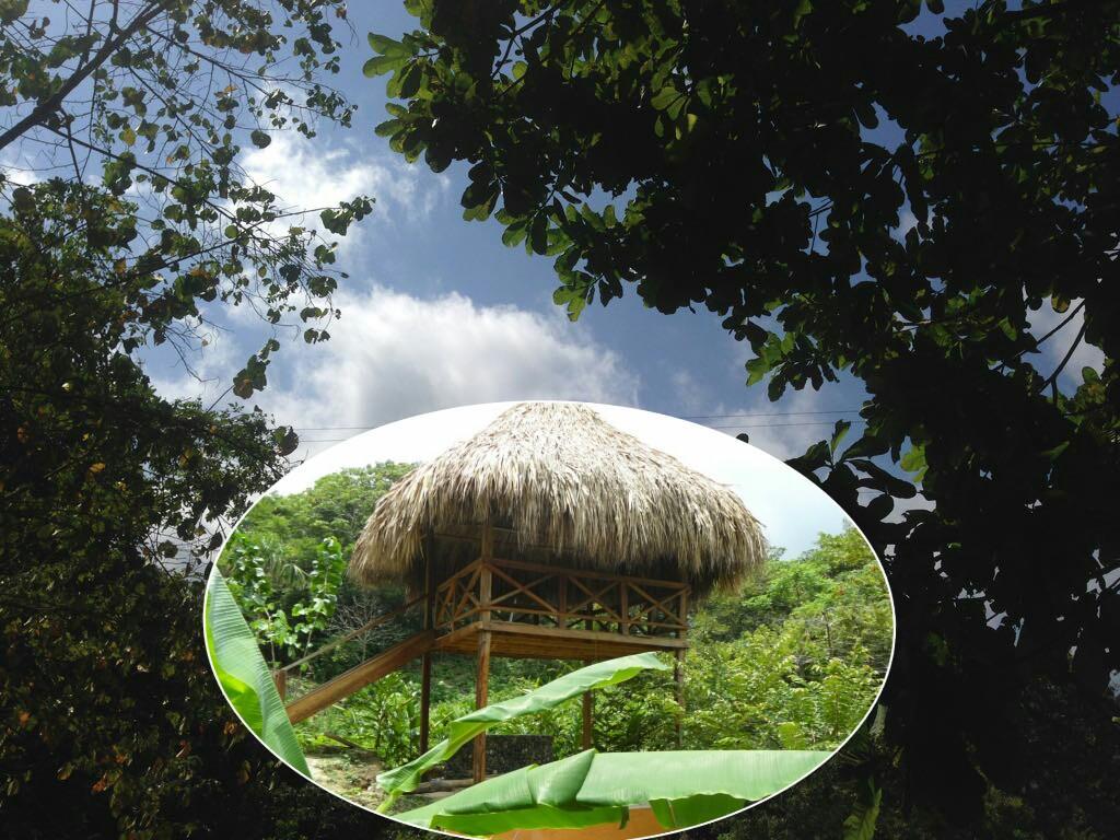 Las Mananitas De La Sierra El Zaino Exterior photo